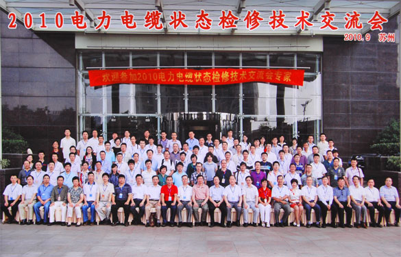 ag真人国际加入2010年电力电缆状态磨练手艺交流会