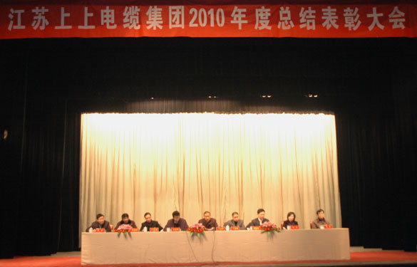ag真人国际盛大召开2010年度总结表扬大会
