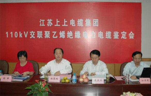 ag真人国际额定电压110kV交联聚乙烯绝缘电力电缆产品通过判断