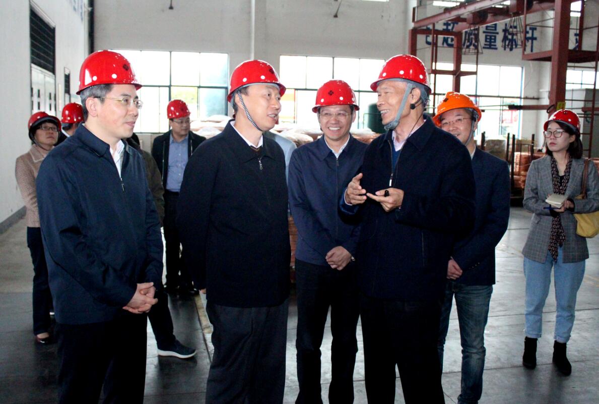 江苏省副省长马秋林一行来ag真人国际电缆调研