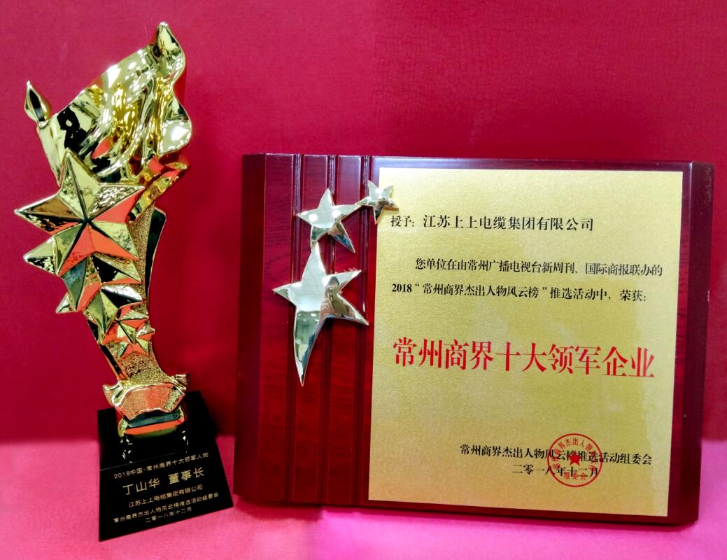 2018年12月6日，，，，丁山华董事长荣获“常州商界十大领武士物”