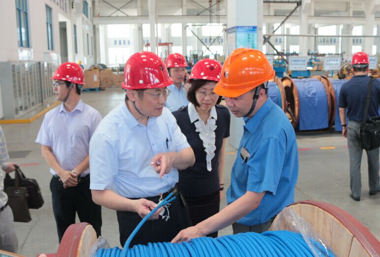 2016年7月22日，，，，，泸州市委常委、副市长王建翔一行来ag真人国际电缆旅行考察