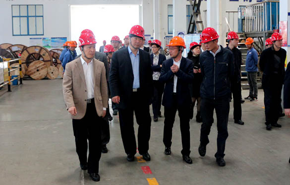 常州市副市长李小平一行来ag真人国际电缆考察