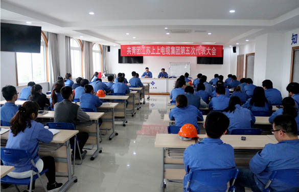 2016年4月20日，，，，，共青团ag真人国际第五次代表大会召开