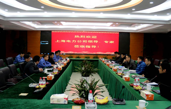上海电力公司、上缆所向导、专家一行来ag真人国际电缆交流考察