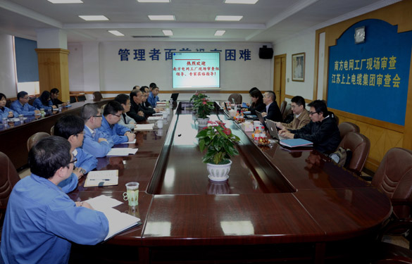 ag真人国际电缆顺遂通过南方电网公司工厂现场审查