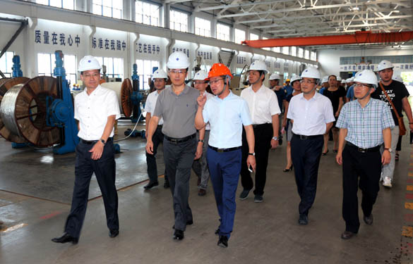 浙江省海盐县党政代表团来ag真人国际电缆旅行考察