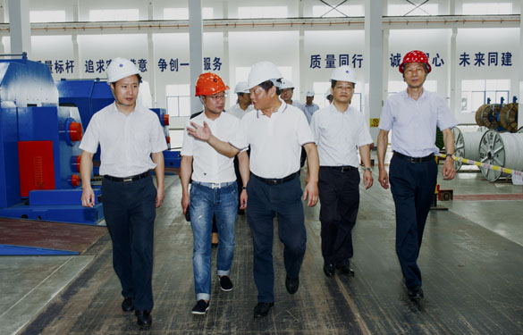 金坛区党政向导来ag真人国际电缆旅行考察