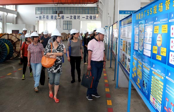 江苏大学与泰州市企业治理专家来ag真人国际电缆观摩