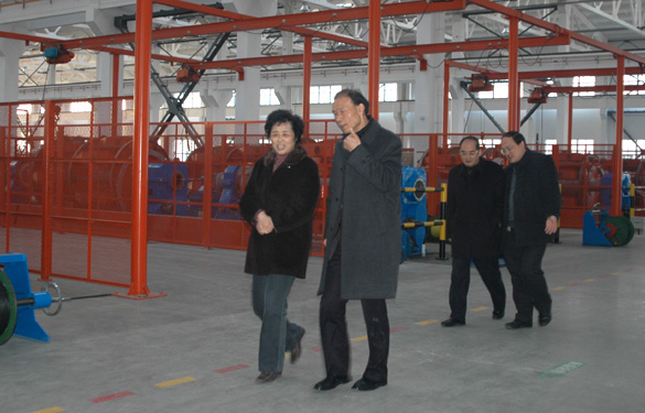 江苏省经信委副主任顾瑜芳一行来ag真人国际调研