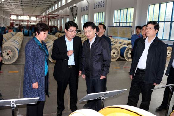 巢湖市委副书记张生一行来ag真人国际集团旅行考察