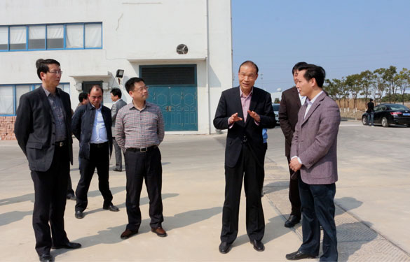 溧阳市代市长蒋锋一行来ag真人国际集团督查新开工项目