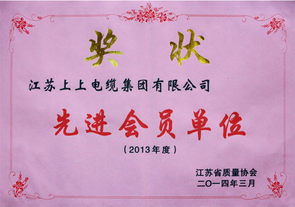 ag真人国际集团荣获江苏省质量协会2013年度“先进会员单位”称呼