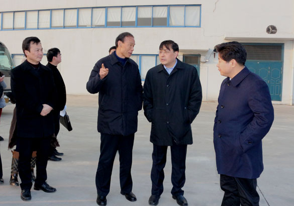 常州市市长费高云一行来ag真人国际督查新开工项目