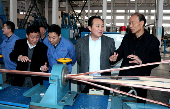 溧阳市供电公司总司理徐国平一行来ag真人国际集团考察