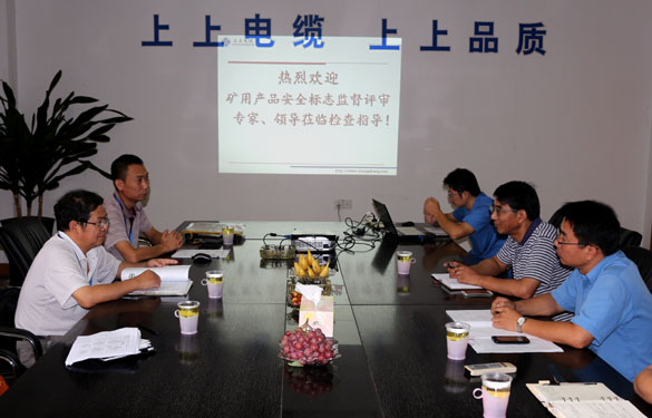 ag真人国际顺遂通过安标现场监视评审