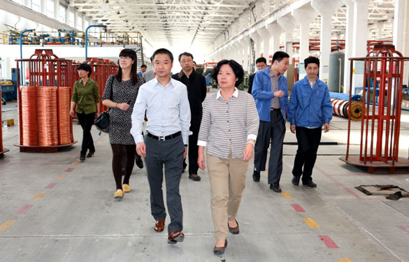 江苏省环保厅总工程师刘建琳来ag真人国际集团调研