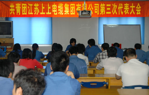 共青团ag真人国际第三届代表大会暨换届选举大会胜利召开