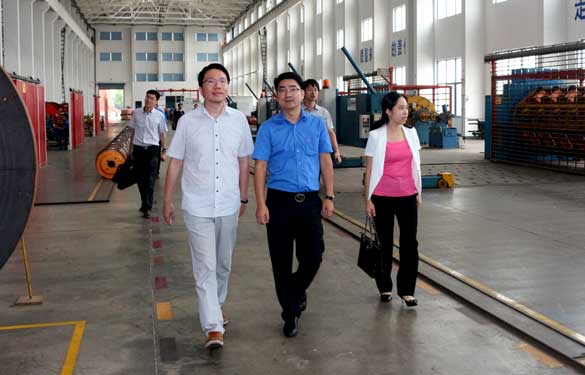 9月10日，，溧阳市副市长陈安一行来ag真人国际电缆调研