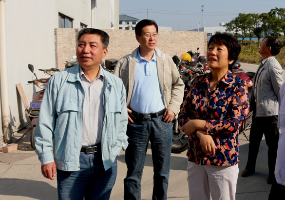 10月14日，，，，，，溧阳市向导来ag真人国际电缆调研