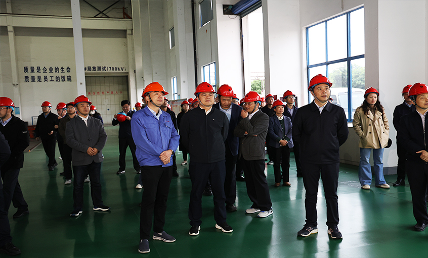 安徽池州青阳县党政代表团一行来ag真人国际电缆考察