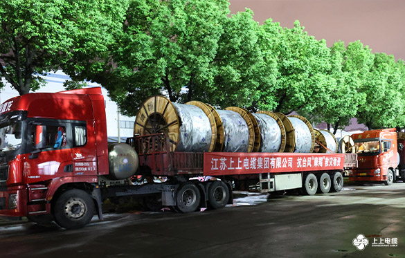 休戚相关，，，，，星夜驰援 ——ag真人国际电缆电力物资紧迫运往海南