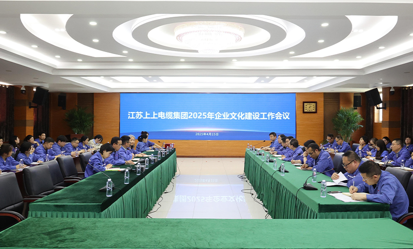 ag真人国际电缆召开2025年企业文化建设事情聚会