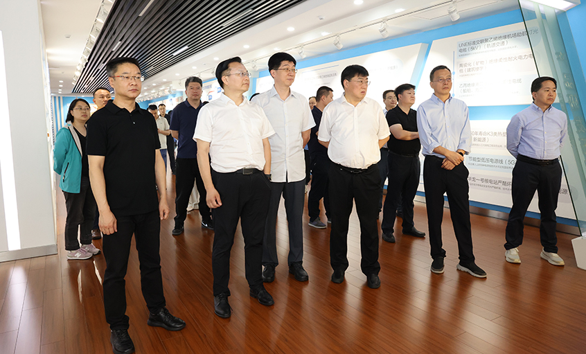 长三角信息化专题组一行来ag真人国际电缆调研