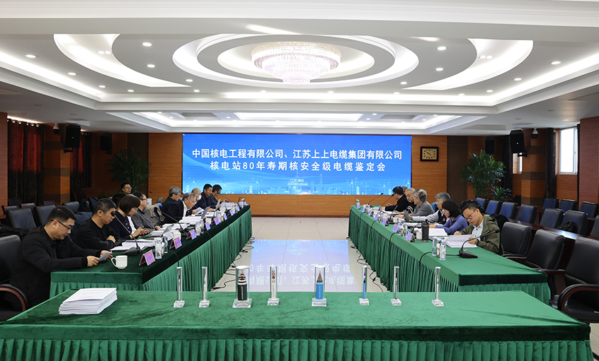 国际领先，，，，ag真人国际电缆“核电站80年寿期核清静级电缆”通过国家级判断